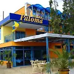 Paloma - In The Center Of The Sunny Beach