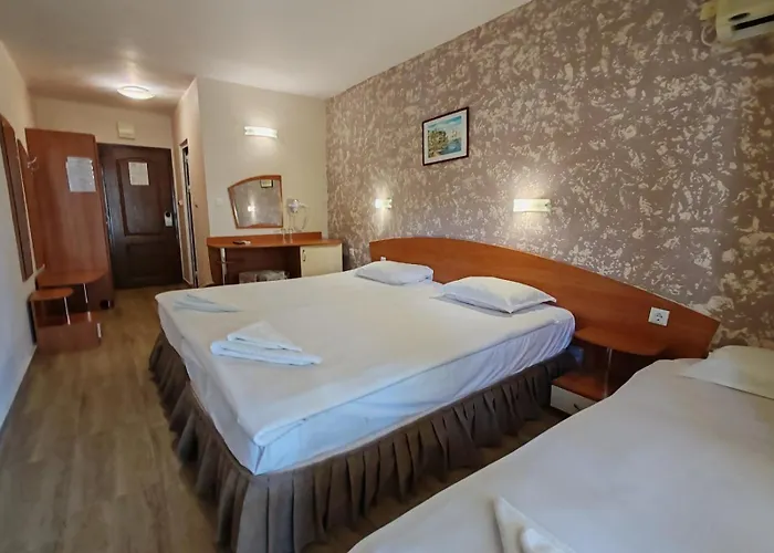 Paloma - In The Center Of The