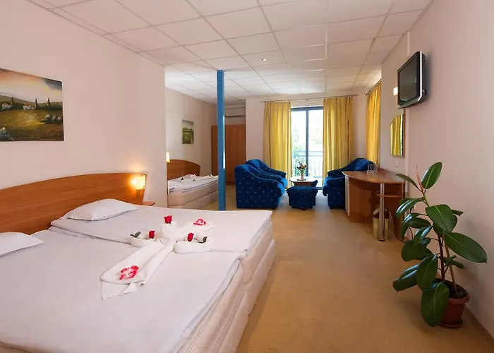 Paloma - In The Center Of The