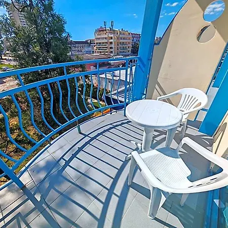 Paloma - In The Center Of The Sunny Beach